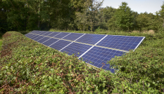 zonnepanelen in agrarisch gebied