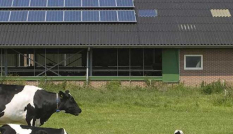 Zonnepanelen op dak boerenbedrijf