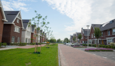 nieuwbouwwijk