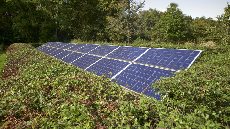 zonnepanelen in agrarisch gebied